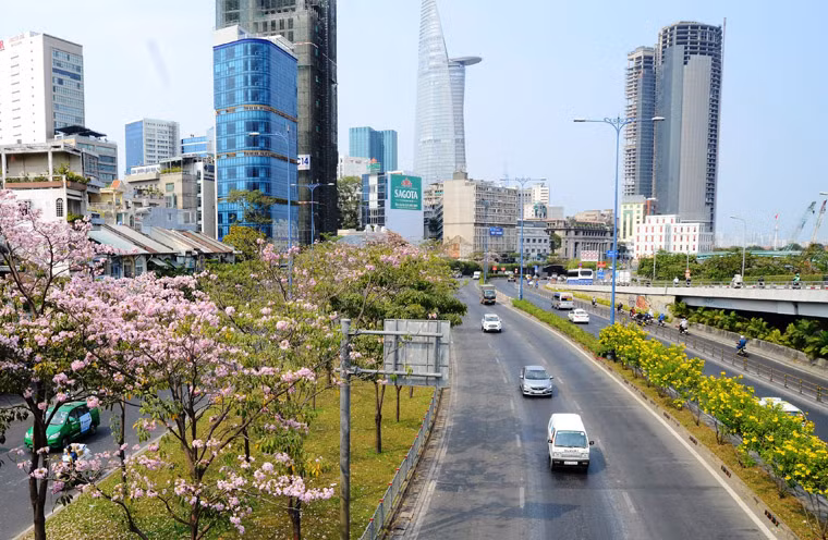 Hoa kèn hồng có nguồn gốc từ châu Mỹ, còn có tên gọi khác là hoa chuông hồng, được trồng thử nghiệm tại TP HCM từ năm 2009.