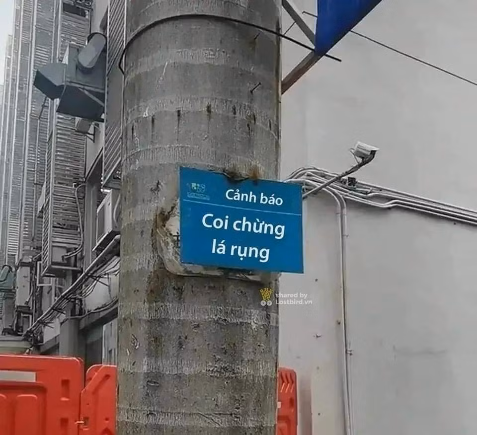 Theo đó, vì muốn chọn nơi mát mẻ để đậu xe, tài xế này đã đỗ xe dưới cây dừa rồi đi công việc. Nào ngờ khi quay lại, người này chỉ biết ngậm ngùi nhìn kính xe vỡ nát vì tán dừa rụng đâm thủng kính xe.