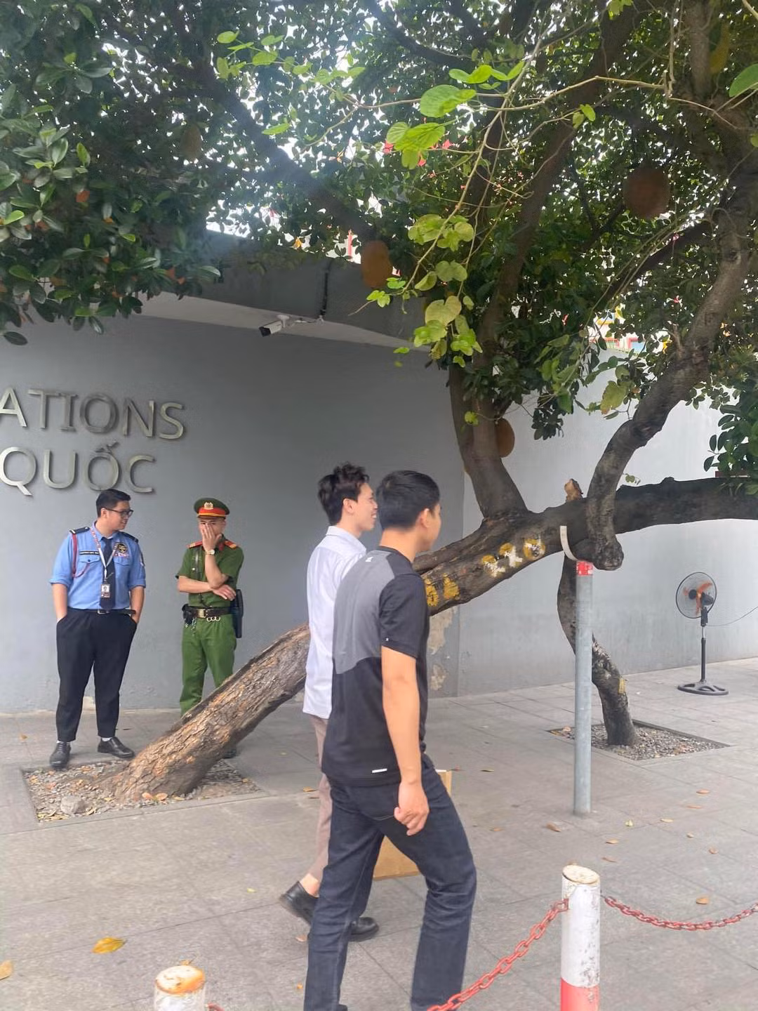 Xuất hiện quả mít “an toàn nhất Việt Nam”, netizen hiến kế bảo vệ Xuat hien qua mit “an toan nhat Viet Nam”, netizen hien ke bao ve