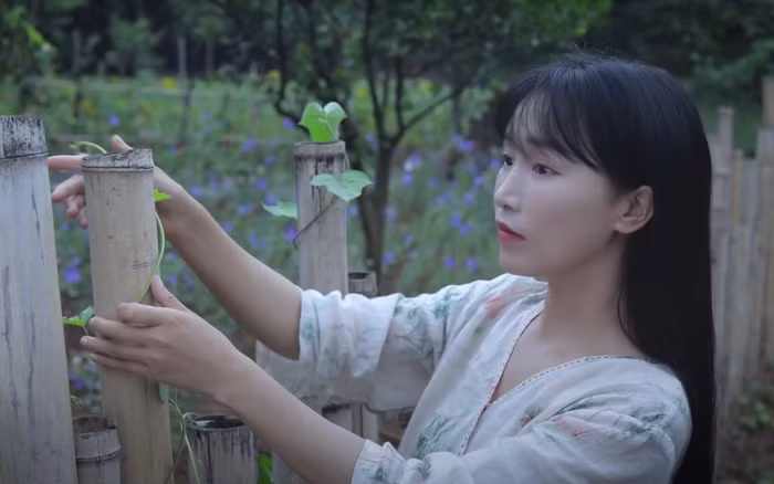 Dù đã không sản xuất thêm video nhưng theo thống kê mới đây, doanh thu "tiên nữ đồng quê" nhận về từ YouTube vẫn ở mức "khủng".