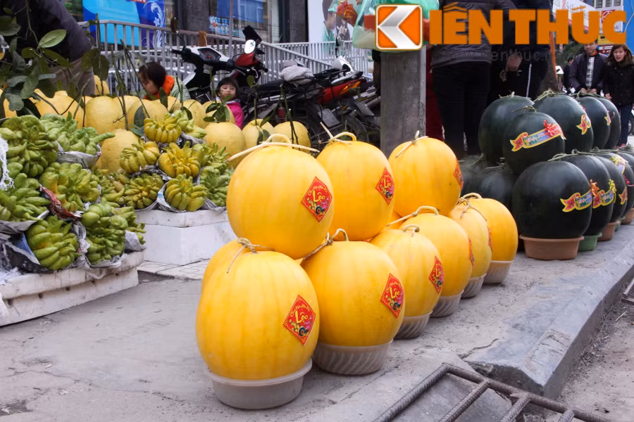 Bên cạnh những quả bưởi "khủng", dưa hấu khổng lồ cũng được các cửa hàng hoa quả bán Tết. Trong đó, dưa hấu vàng và dưa hấu vỏ xanh đen nhập về từ Sài Gòn có giá 30.000 đồng/kg. Trung bình, mỗi trái dưa nặng từ 10 - 15kg, người mua cần chi từ 300.000 - 450.000 đồng/quả.