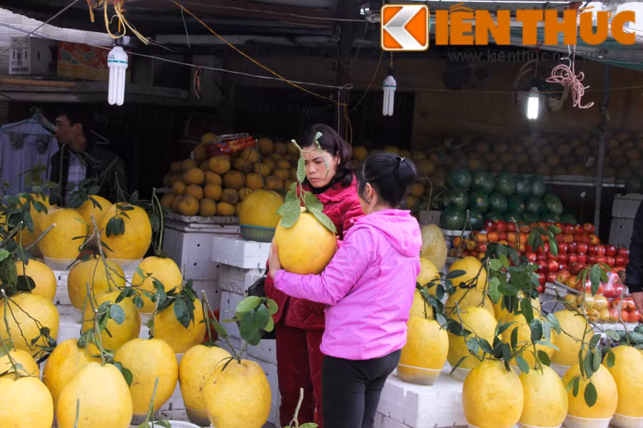 Can canh buoi vang khong lo chung Tet hut khach Ha Noi