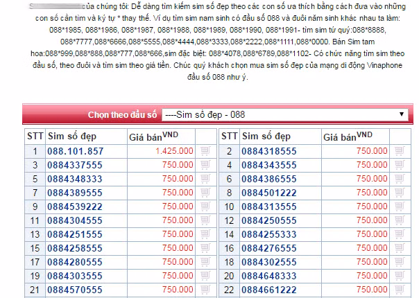 Chua ra mat, sim dau 088 va 089 rao ban loan gia-Hinh-3