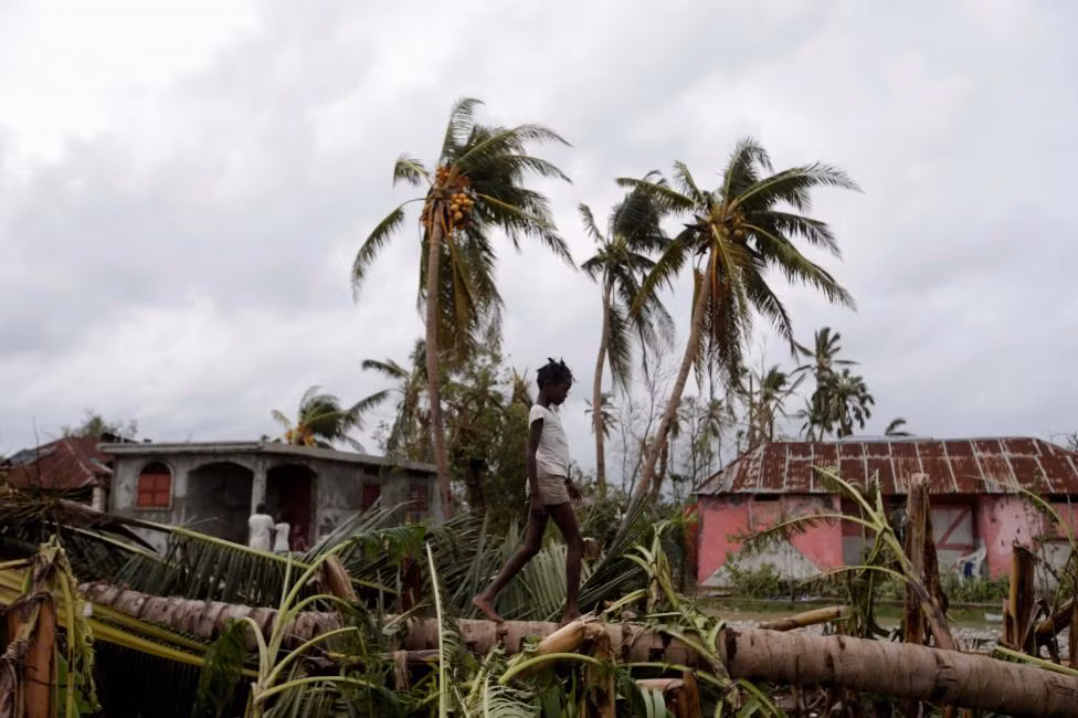 Bé gái đi trên thân cây bị đổ ở Les Cayes.