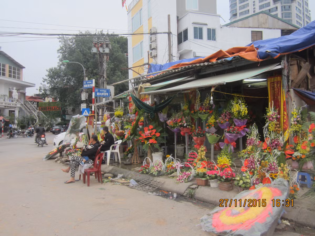 Nhung ngoi nha 
