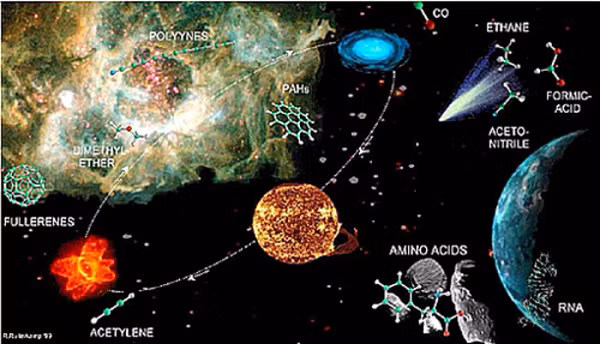  Lý thuyết Panspermia lần đầu tiên bởi Triết gia Hy Lạp Anaxagoras vào khoảng năm 500 trước Công nguyên. Theo giả thuyết Panspermia, con người có thể là một sinh vật được phát triển ở các khu vực khác của vũ trụ và có gen đã xâm nhập vào Trái đất thông qua sao chổi hoặc thiên thạch tác động lên bề mặt Trái đất.