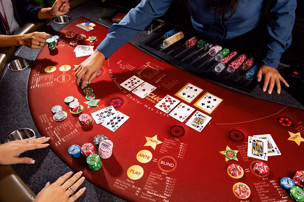 Người thay thế Fallon đã thắng cược 2200 USD trước khi cảnh sát đến và yêu cầu chuyển giao 600 USD cho người họ hàng gần nhất của Fallon. Hóa ra người đàn ông thay thế chính là con trai của Fallon. Người con trai đã không gặp mặt cha trong bảy năm và hoàn toàn không biết cha mình cũng đến sòng bài vào ngày hôm đó.