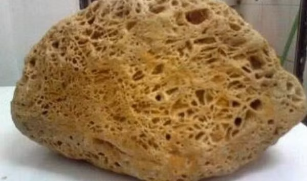 Một lão nông đang cùng người thân của mình đào giếng sau nhà thì đụng trúng 1 hòn đá vô cùng xấu xí. Bề mặt của nó đầy lỗ và có kết cấu rất rõ ràng.