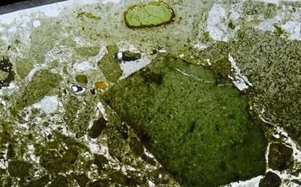 Mới đây dấu hiệu của những "thây ma" kỷ Cambri bên trong kimberlite đã được tìm thấy bởi nhóm khoa học gia dẫn đầu bởi nhà địa hóa học Andrea Giulani từ ETH Zurich (Thụy Sĩ).