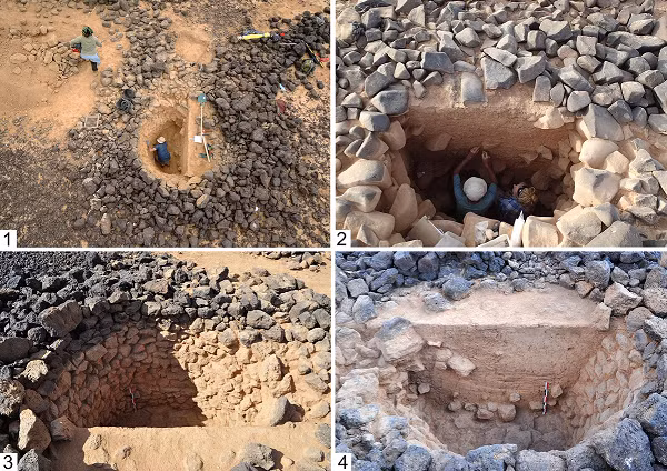 Theo nghiên cứu công bố tháng 7-2019 của Đại học New York (Mỹ), người Denisovans từng giao phối dị chủng với tổ tiên Homo sapiens chúng ta, để lại trên cơ thể 40% người châu Á hiện đại chiếc răng hàm Denisovans kỳ dị, có thêm 1 chân phụ.