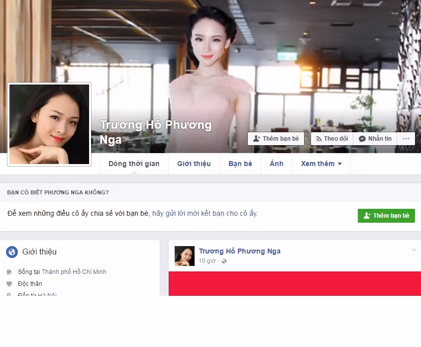 Đây không phải lần đầu tiên những người nổi tiếng hoặc những nhân vật có liên quan đến sự vụ gây xôn xao dư luận giống như vụ việc của Trương Hồ Phương Nga bị giả mạo Facebook. Và trong khi phía tòa án, những cơ quan chức năng chưa có những kết luận cuối cùng thì những hình ảnh, phát ngôn, cũng như nội dung status đăng trên những trang Facebook giả mạo này có thể vô tình khiến tính chất sự việc càng thêm phức tạp.