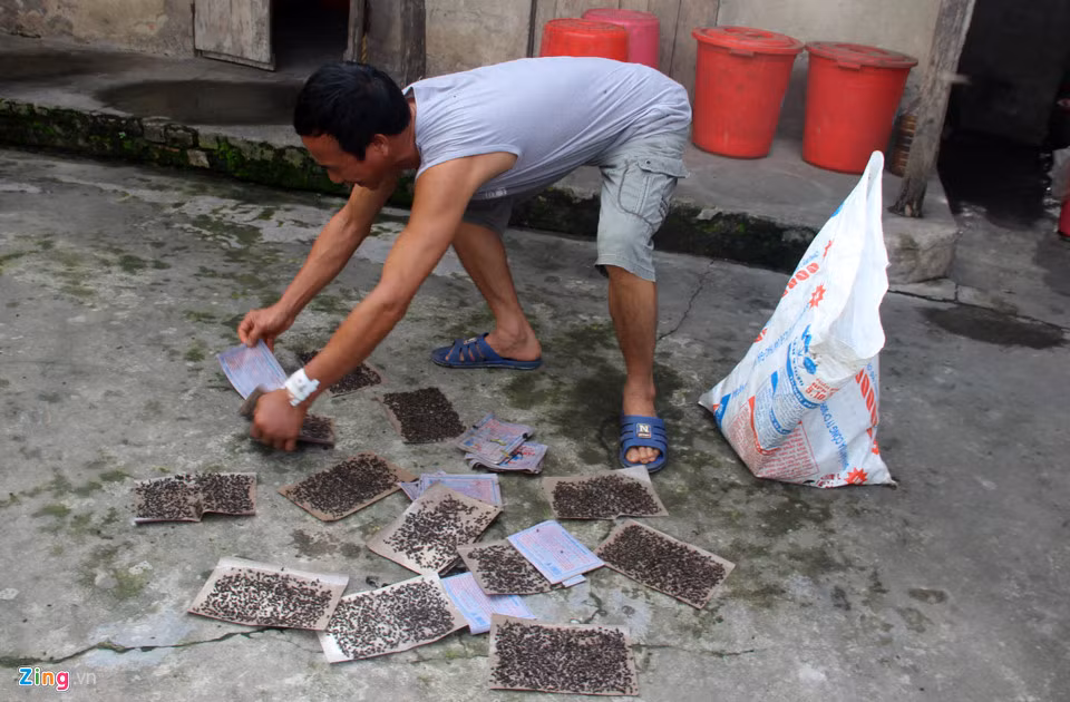 Theo những người dân chặn đường vào bãi tập kết rác, ruồi bắt đầu xuất hiện nhiều khoảng một tuần trở lại đây khiến cuộc sống của họ bị đảo lộn.