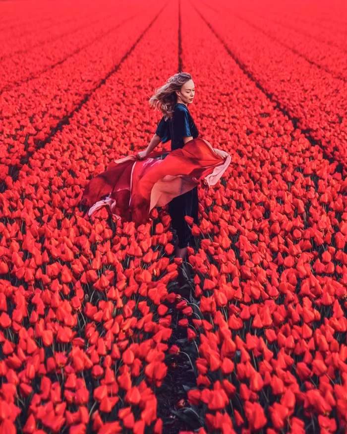 Cánh đồng hoa tulip ở Hà Lan dường như đẹp và nổi bật hơn với sự xuất hiện của người mẫu Asya.
