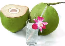  Dừa Dừa có vị ngọt tính bình, nước mát, bổ dưỡng, sở hữu công dụng cung cấp năng lượng, tăng cường thể lực, khu phong, ích khí, giải khát hiệu quả.