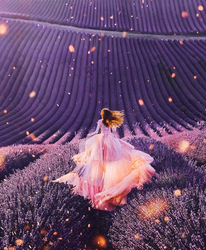Một tác phẩm nghệ thuật hoàn hảo được chụp ở Provence, Pháp.