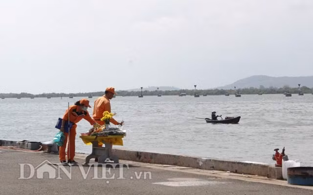 Công tác chuẩn bị tiếp nhận thi thể trên bến cảng.