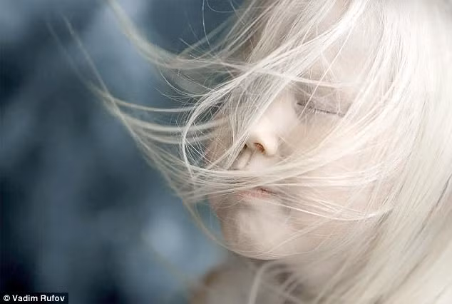 Vadim cho rằng, nàng Bạch Tuyết bé nhỏ Nariyana là một trong những cô bé mắc bệnh bạch tạng đặc biệt nhất nhiếp ảnh gia từng gặp. (Nguồn Dailymail)