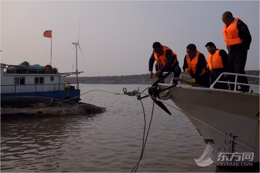 Tuy nhiên, tại thời điểm phát hiện xác cá voi, nó đã chết được khoảng hơn 10 ngày, cơ thể bắt đầu có dấu hiệu phân hủy, bốc mùi hôi thối nồng nặc. (Nguồn Sina)