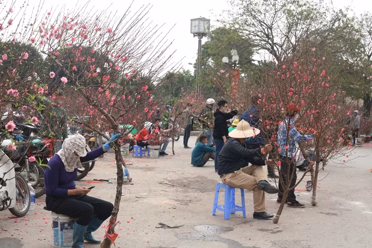 Vắng khách, người bán đào ở con đường hoa Lạc Long Quân ngồi dài, bấm điện thoại để "giết thời gian".
