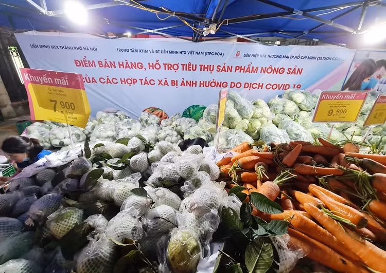 Sieu thi BigC, Co.opmart, Vinmart vao cuoc “giai cuu” nong san Hai Duong-Hinh-8
