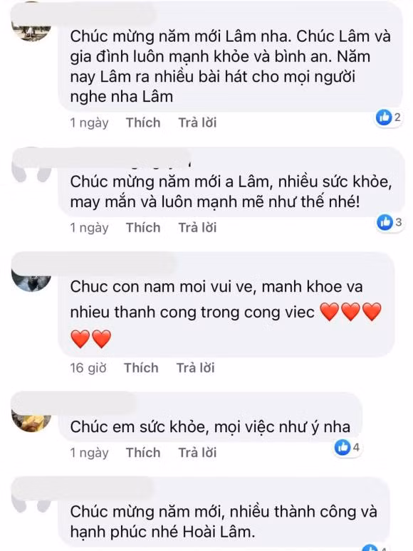 Hoai Lam tai xuat, 