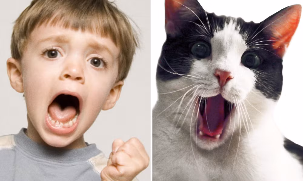 Vẻ mặt cực kỳ biểu cảm của cả hai nhân vật. Ảnh: Brightside.