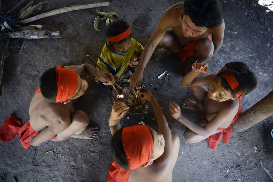 Tuổi thọ trung bình của người Yanomami chỉ vào khoảng hơn 40 và những đứa trẻ từ 12 tuổi trở đi đã được coi là trưởng thành.