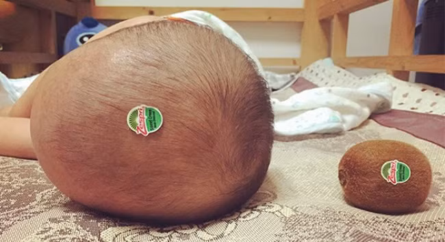 Biến hình đầu con thành quả kiwi.