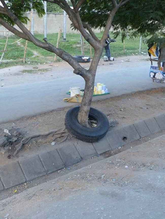 Một hình ảnh khiến nhiều người phải đứng lại chỉ để nhìn, trông thì có vẻ đơn giản nhưng bạn thử làm điều tương tự xem.