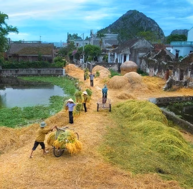 Hội ngày mùa. Ảnh: Hanoispanorama skylinegallery.