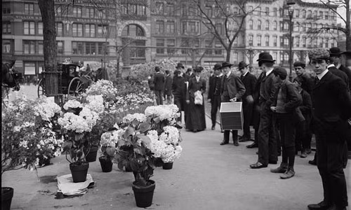 Vào những năm đầu 1900, người dân New York có cơ hội mua hoa hàng tuần tại khu Union Square Greenmarket vào mỗi tuần.