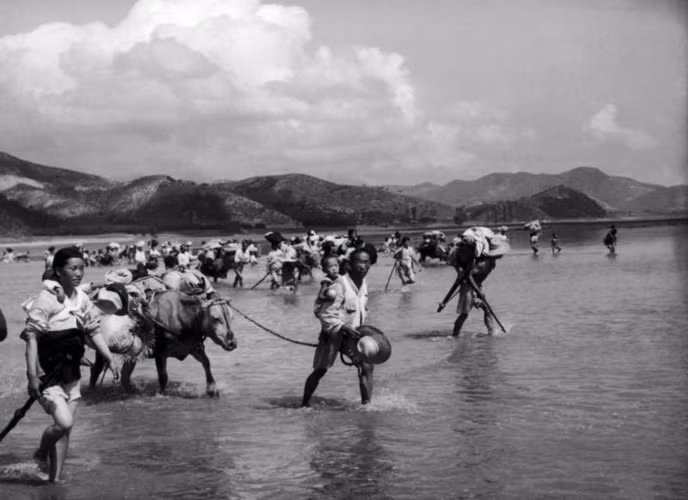 Những người dân tị nạn Triều Tiên băng qua sông Naktong cách thành phố Waegwan 3 dặm về phía nam trước khi cuộc xung đột giữa hai miền Triều Tiên nổ ra ngày 6/8/1950.
