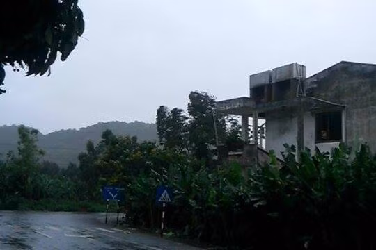Đến 10h sáng cùng ngày, ở đảo Cát Bà, (Hải Phòng) gió vẫn ở cấp 6 – cấp 7. Toàn bộ dân và tàu ở nơi đây đã về nơi tránh bão. 