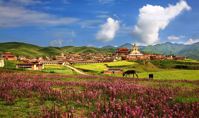 Bí ẩn Shambhala Shambhala, cũng được dịch là Shangri-La, có nghĩa là "vùng đất thuần khiết" trong tiếng Tây Tạng. Đó là huyền thoại của thế giới Phật giáo và là nơi sinh của giáo lý Kalachakra. Liên quan đến sự tồn tại của Shambhala, luôn có sự hoài nghi và các học giả Phật giáo Shambhala nghĩ rằng đó là một thiên đường hư cấu. Sách lịch sử Tây Tạng ghi lại rất chi tiết Shambhala. Tuy nhiên, nếu Shambhala, tồn tại hay không, vẫn là một bí ẩn.
