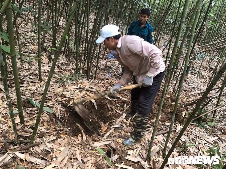 Chuyện săn lùng loài chuột khổng lồ trong rừng tây Yên Tử Chuyen san lung loai chuot khong lo trong rung tay Yen Tu