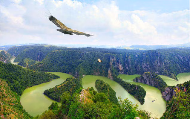 Sông Uvac chảy qua Serbia, Bosnia và Herzegovina. Dòng sông có nước màu xanh lá cây và uốn lượn quanh co, tạo ra cảnh tượng vô cùng hùng vỹ.