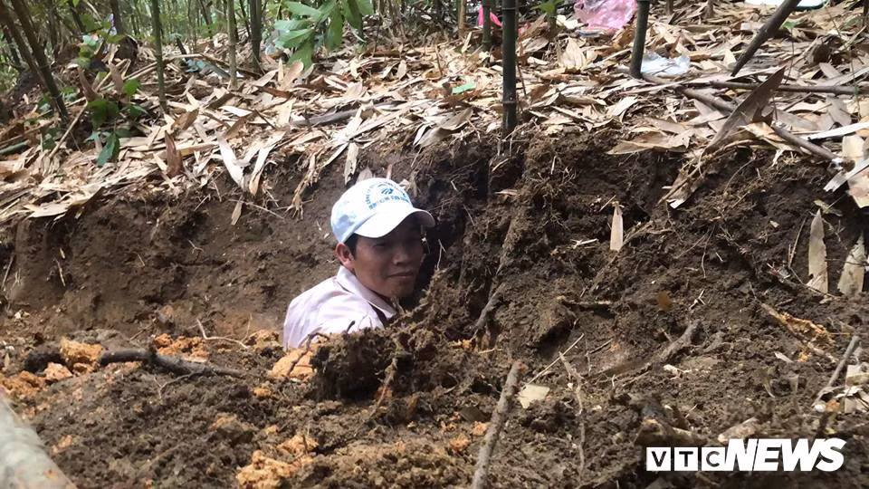 Đấu trí với chuột khổng lồ tinh khôn ở rừng tây Yên Tử - Hình 2 Dau tri voi chuot khong lo tinh khon o rung tay Yen Tu-Hinh-2
