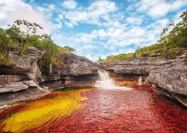 Caño Cristales: Vào những tháng mùa hè, dòng sông Colombia này chuyển sang màu đỏ. Trên thực tế, lòng sông được bao phủ bởi một loài thực vật độc đáo, và những thực vật này làm nước chuyển sang màu đỏ.
