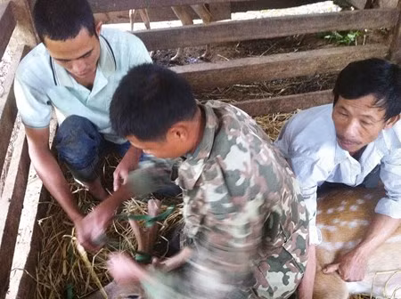 Tò mò nghe cat nhung huou dac san ỏ Huong Son
