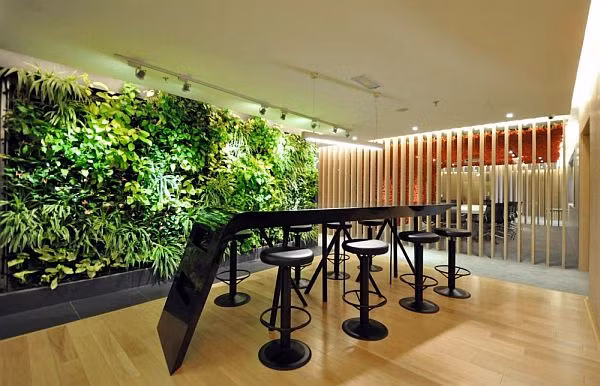 Khoảng không với nhiều loại cây xanh độc, lạ sẽ tạo điểm nhấn cho ngôi nhà, nhất là nhà đô thị thiếu sân vườn.