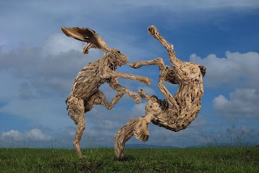 Mãnh thú tử chiến trên đồng cỏ.