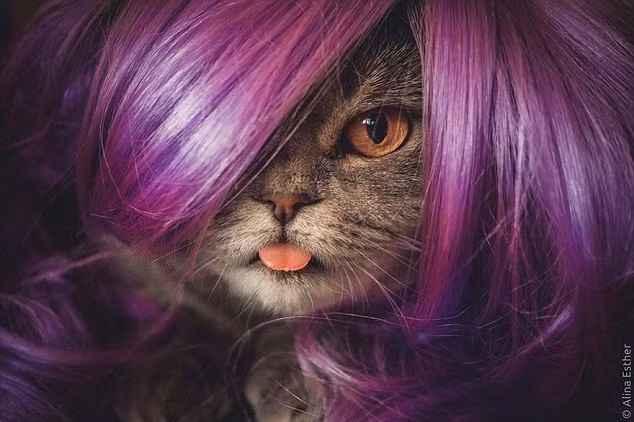 Melissa được coi là đối thủ đáng gờm với các ngôi sao động vật trên Instagram khác.