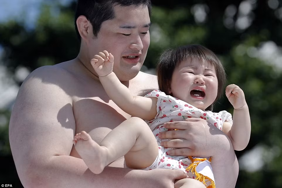 Nếu như em bé không khóc thì công việc dọa trẻ con khóc sẽ được các trọng tài đảm nhận, họ sẽ hù, hay lớn tiếng, làm đủ các trò khiến các em bé giật mình và cất tiếng khóc.