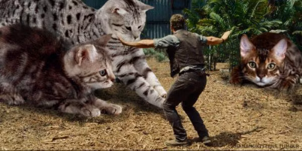 Phân đoạn Chris Pratt khống chế loài khủng long nguy hiểm Raptor được thay bằng cảnh ba chú mèo đáng yêu.