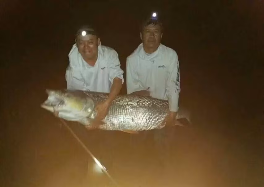 Lưu Thần, cậu con trai kể lại khi đang cùng cha là Lưu Dương Quân câu cá, đột nhiên thấy cần câu trĩu nặng, dù đã thả lỏng dây nhưng vẫn bị con cá kéo đi. Thấy vậy, Lưu Thần hô lớn: "Cá măng, cá măng, nhất định là cá măng lớn" rồi hợp sức cùng cha mình cố gắng kéo con cá khổng lồ lên.