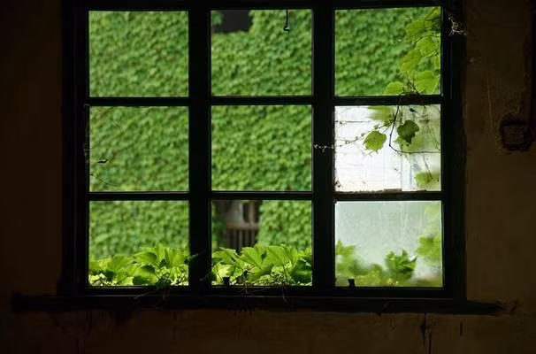 Nhiếp ảnh gia Tang Yuhong đã không quản ngại đường xá xa xôi, tiếp cận ngôi làng và đem đến cho người xem những hình ảnh đẹp tuyệt mỹ về một địa điểm bị lãng quên, chìm vào thiên nhiên hoang dã. Bộ ảnh sau khi được đăng tải đã nhanh chóng nhận được nhiều sự chú ý.