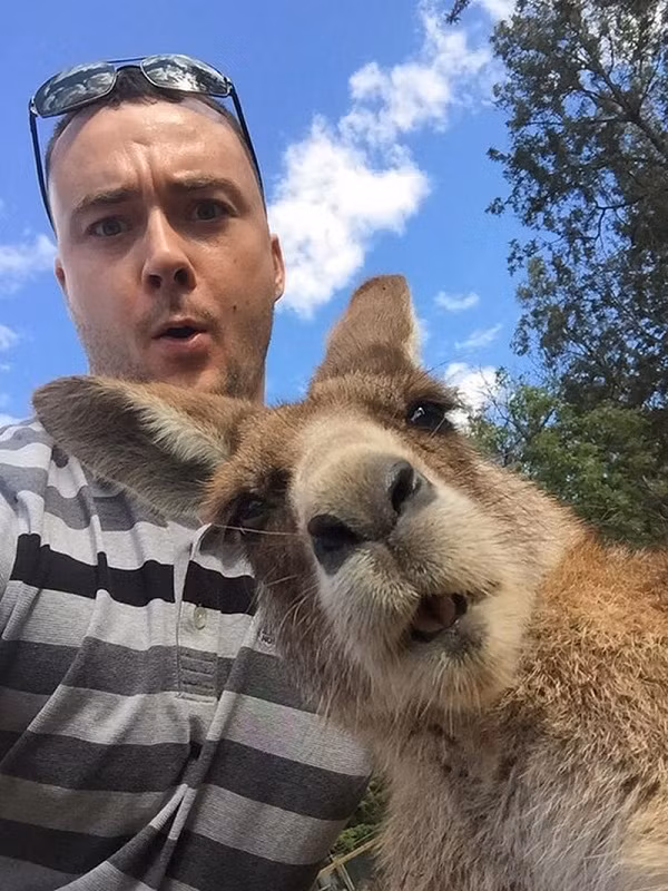 Du khách chụp ảnh tự sướng cùng chú Kangaroo ở Australia.