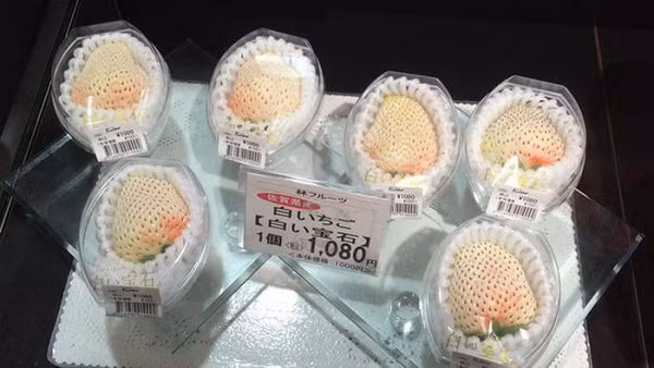 Đây là giống dâu đến từ Nhật Bản, còn có tên gọi khác là dâu Shiroi Houseki - hay dâu "bạch ngọc" (White Jewel).