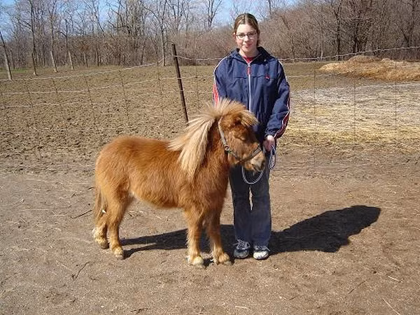 Đây là một trong những giống ngựa độc đáo nhất thế giới có tên ngựa Falabella. Những chú ngựa khá nhỏ bé, chỉ có thể được cưỡi bởi những đứa trẻ rất nhỏ, hay được sử dụng như động vật dẫn đường cho những người bị khuyết tật bởi khá thông minh và dễ huấn luyện.