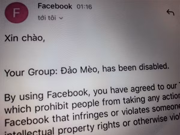 Khai tu “Dao meo” - Fanpage thu cung lon nhat Viet Nam